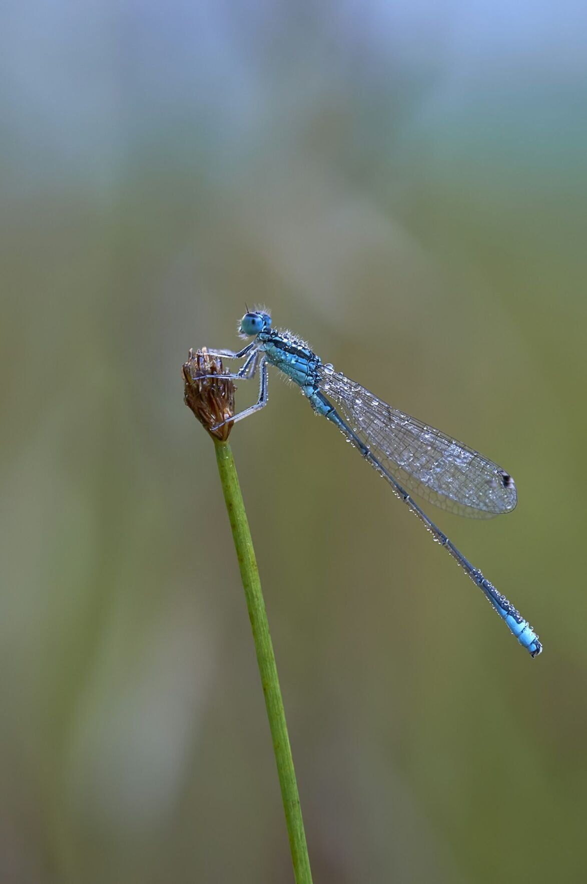 wolfgang-hasselmann-un9Gw-lkO54-unsplash